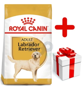 ROYAL CANIN Labrador Retriever Adult 12kg karma sucha dla psów dorosłych rasy labrador retriever + niespodzianka dla psa GRATIS!