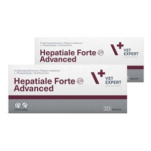 Hepatiale Forte Advanced 2 x 30 tab