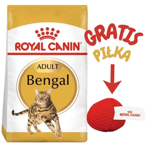 ROYAL CANIN Bengal Adult 10kg karma sucha dla kotów dorosłych rasy bengal + Royal Canin piłka dla kota GRATIS!!!