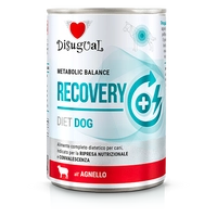 Disugual Karma mokra dla psa Weterynaryjna RECOVERY Jagnięcina (dorosły) 400g