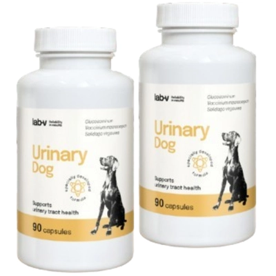 Lab-v Urinary Dog – Wsparcie przy zakażeniu dróg moczowych u psów 2x90 kapsułek