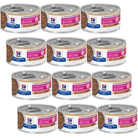 HILL'S PD Prescription Diet Gastrointestinal Biome Stress 12x82g