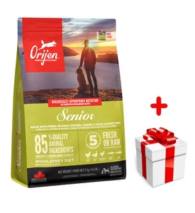 ORIJEN Dog Senior 2kg + niespodzianka dla psa GRATIS!