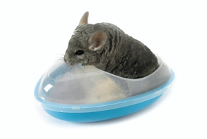 SAVIC Kąpielówka dla szynszyli 35x23x15cm