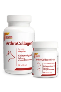 ArthroCollagen 90 tabletek