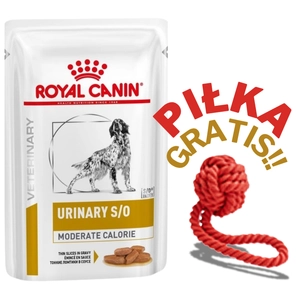 ROYAL CANIN Dog Urinary Moderate Calorie 12x100g - dla psa + PIŁKA GRATIS!!!