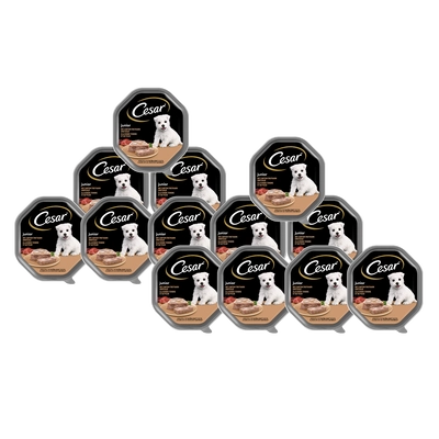 CESAR Junior tacka 14x150 g – mokra karma pełnoporcjowa dla szczeniąt, z indykiem i cielęciną, w pasztecie