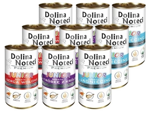 Dolina Noteci PREMIUM Junior MIX Smaków 48 x 400g