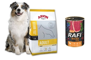 ARION Original Adult Small/Medium Breed Light 12kg + Rafi 400g