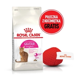 ROYAL CANIN  Exigent Savour 35/30 Sensation 10kg karma sucha dla kotów dorosłych, wybrednych, kierujących się teksturą krokieta + Piłka dla kota GRATIS!