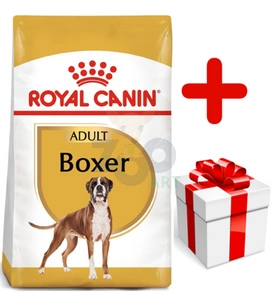 ROYAL CANIN Boxer Adult 12kg karma sucha dla psów dorosłych rasy bokser  + niespodzianka dla psa GRATIS!