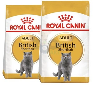 ROYAL CANIN British Shorthair 2x10kg karma sucha dla kotów dorosłych rasy brytyjski krótkowłosy