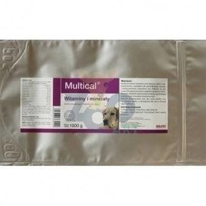 Dolvit Multical 1000g proszek