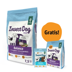 GREEN PETFOOD InsectDog Balance 7,5kg + 900g & Denties 180g GRATIS!!