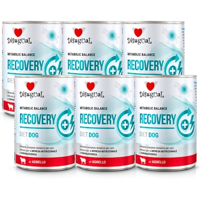 Disugual Karma mokra dla psa Weterynaryjna RECOVERY Jagnięcina (dorosły) 6x400g