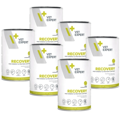 VETEXPERT Dog Diet Recovery 6x400g
