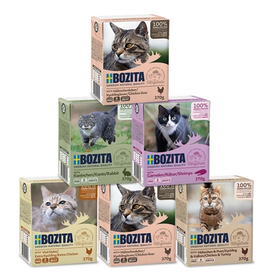 BOZITA Cat Mix smaków 6x370g