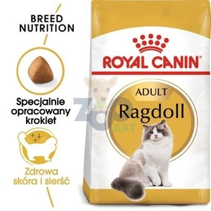 ROYAL CANIN Ragdoll Adult 10kg karma sucha dla kotów dorosłych rasy ragdoll / Opakowanie uszkodzone (1827) !!!