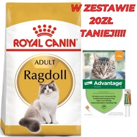 ROYAL CANIN Ragdoll Adult 10kg karma sucha dla kotów dorosłych rasy ragdoll + Advantage - dla kotów (0,4mlx4) *roztwór* blister
