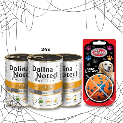 Dolina Noteci Premium Kaczka z dynią 24x400g + piłka