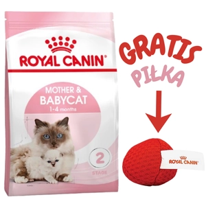 ROYAL CANIN  Mother&Babycat 4kg karma sucha dla kotek w okresie ciąży, laktacji i kociąt od 1 do 4 miesiąca życia + Royal Canin piłka dla kota GRATIS!!