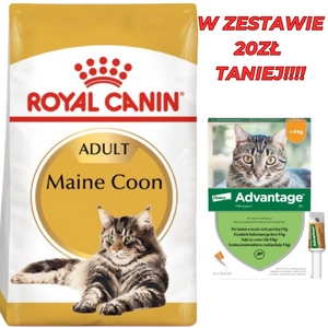 ROYAL CANIN Maine Coon Adult 10kg karma sucha dla kotów dorosłych rasy maine coon + Advantage - dla kotów (0,4mlx4) *roztwór* blister