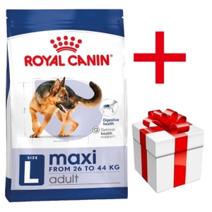 ROYAL CANIN Maxi Adult 4kg karma sucha dla psów dorosłych, do 5 roku życia, ras dużych + NIESPODZIANKA DLA PSA GRATIS!!