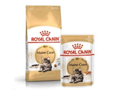 ROYAL CANIN Maine Coon Adult 10kg karma sucha dla kotów dorosłych rasy maine coon + saszetka Maine Coon Adult 12x85g