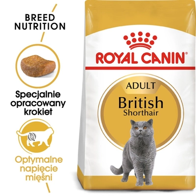 ROYAL CANIN British Shorthair 10kg karma sucha dla kotów dorosłych rasy brytyjski krótkowłosy/Opakowanie uszkodzone (3990,4780,5366) !!! 