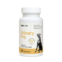 Lab-v Urinary Dog – Wsparcie przy zakażeniu dróg moczowych u psów 45 kapsułek