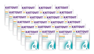 Kattovit Gastro indyk 24x85g saszetka