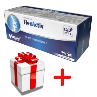 VETFOOD FlexActiv 120 caps. + NIESPODZIANKA DLA PSA GRATIS!!