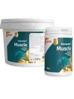 DOLFOS Horsemix Muscle 1500g