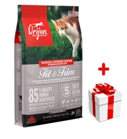  ORIJEN Fit & Trim Cat 5,4kg + niespodzianka dla kota