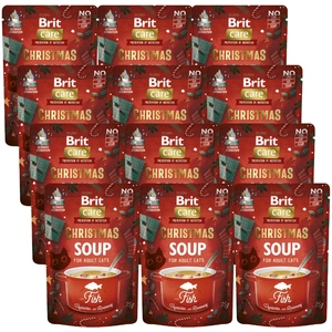 BRIT Cat Christmas Soup Fish 12x75g