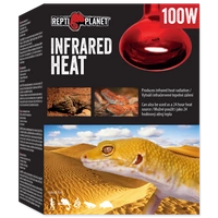 RP Żarówka  Infrared HEAT 100W