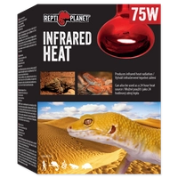 RP Żarówka  Infrared HEAT 75W