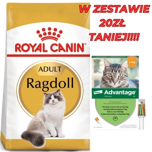 ROYAL CANIN Ragdoll Adult 10kg karma sucha dla kotów dorosłych rasy ragdoll + Advantage - dla kotów (0,4mlx4) *roztwór* blister