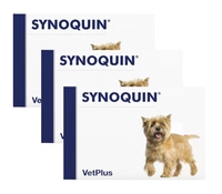 VetPlus SYNOQUIN EFA małe rasy 3x30 tabletek 