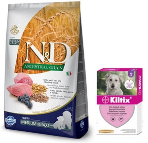Farmina N&D Ancestral Grain canine LAMB & BLUEBERRY PUPPY MEDIUM & MAXI 12 kg + Kiltix Obroża dla psów dużych dł, 70cm