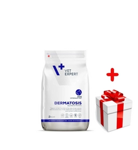 VETEXPERT Dog Dermatosis Salmon&Potato 2kg + niespodzianka dla psa GRATIS!