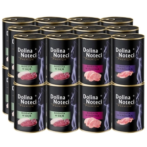 Dolina Noteci Premium dla kota 24x400g