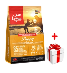 ORIJEN Dog Puppy 2kg + niespodzianka dla psa GRATIS!