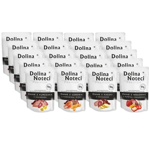 DOLINA NOTECI Danie Mix Smaków 20x100g-karma mokra dla psa