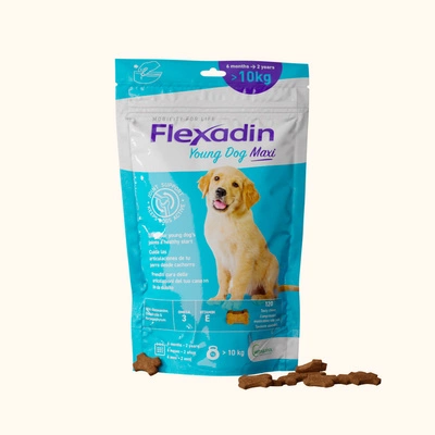 VETOQUINOL Flexadin Young Dog Maxi 60kąsków