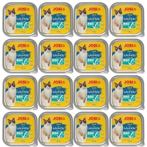 JOSERA JosiCat Pate z łososiem 16x100g