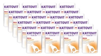 Kattovit Urinary cielęcina 24x85g saszetka