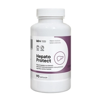 Lab-v Hepato Protect – Wspomaganie funkcji wątroby dla psów i kotów 2x90 kapsułek