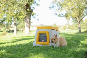 Kerbl Królicza norka Bunny Base, zestaw kompletny, 58 x 38,5 x 55 cm, szary/pomarańczowy