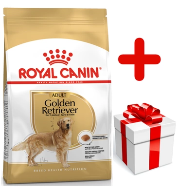 ROYAL CANIN Golden Retriever Adult 12kg karma sucha dla psów dorosłych rasy golden retriever + niespodzianka dla psa GRATIS!